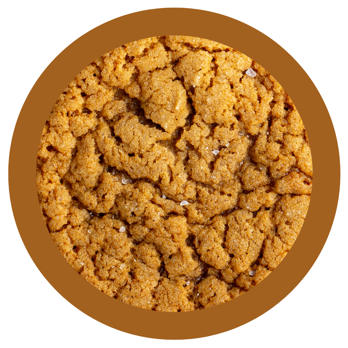Gingerbread Cookies
