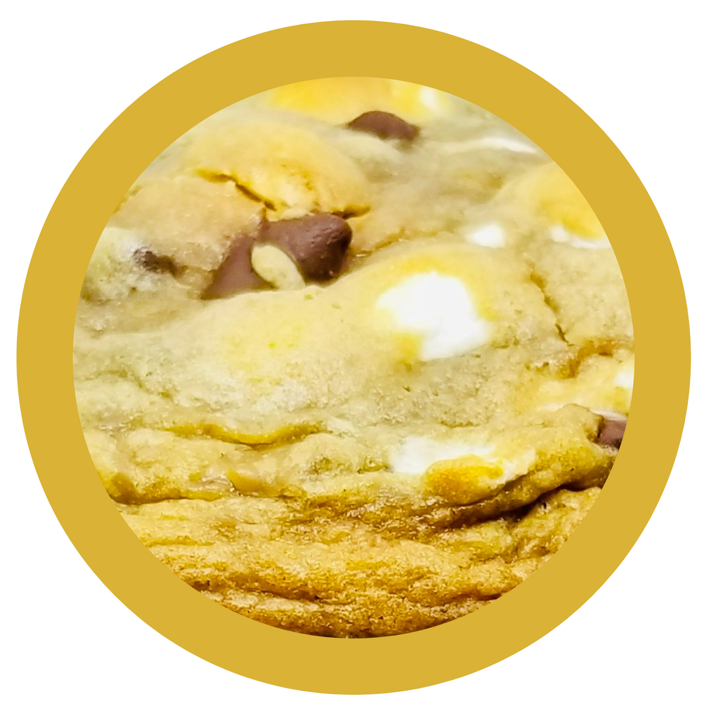 Sweet & Salty Cookie