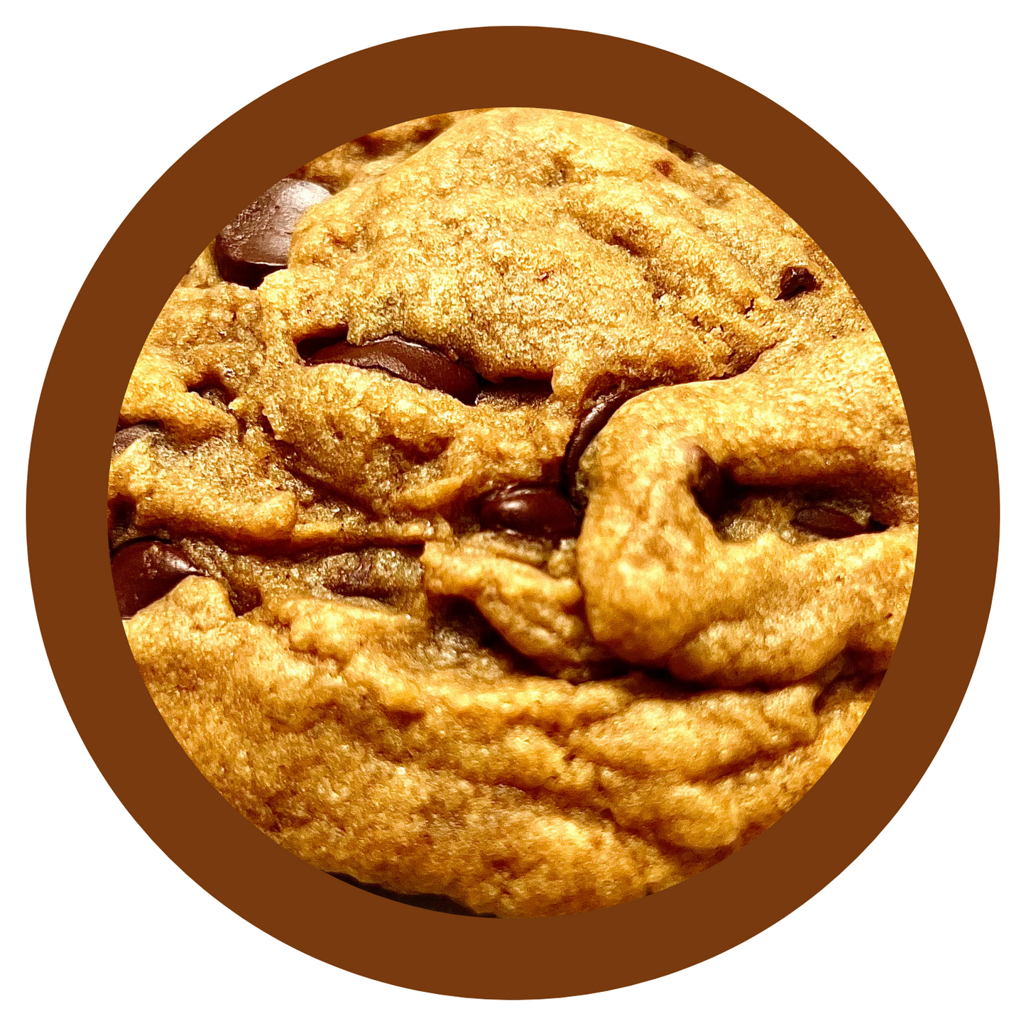 Vegan Chocolate Chip Cookie